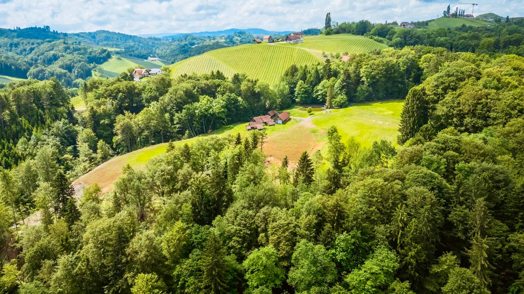 Landwirtschaft inmitten der suedsteirischen Weinberge